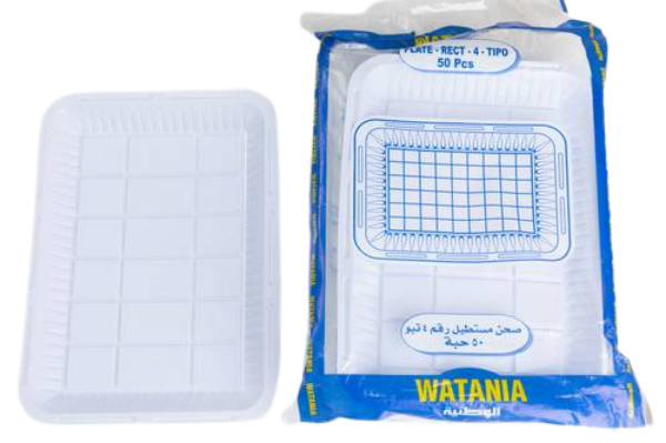 صورة كرتون صحن وطنيه رقم4 10 حبه