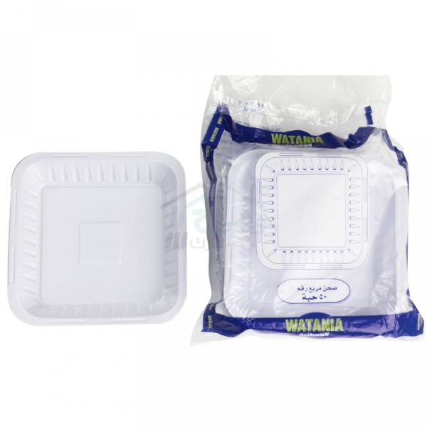 صورة كرتون صحن وطنيه مربع رقم 1 20 حبه