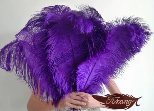 صورة درزن ريش نعام كبير 12 حبه